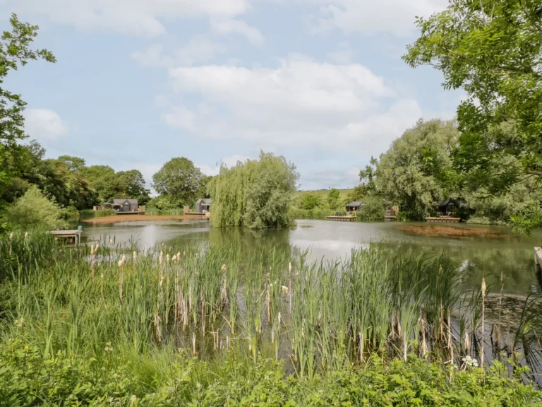 sc_1748876461_1110645_71